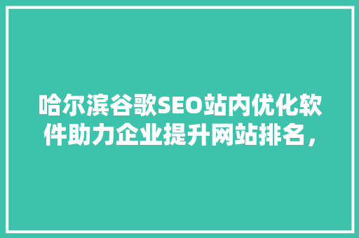 哈尔滨谷歌SEO站内优化软件助力企业提升网站排名，抢占网络市场先机