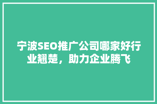 宁波SEO推广公司哪家好行业翘楚,助力企业腾飞 宁波SEO推广公司哪家好行业翘楚,助力企业腾飞