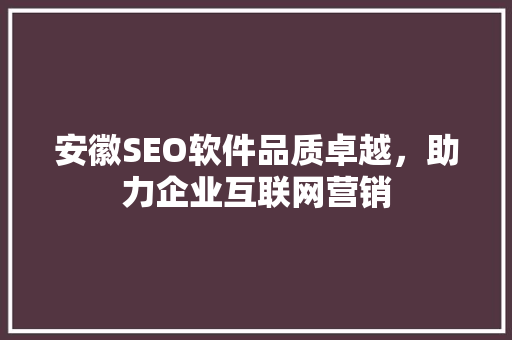 安徽SEO软件品质卓越，助力企业互联网营销