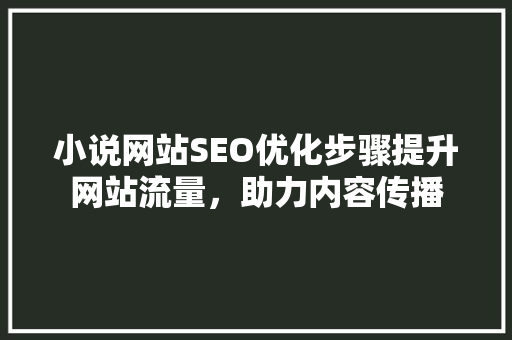小说网站SEO优化步骤提升网站流量，助力内容传播