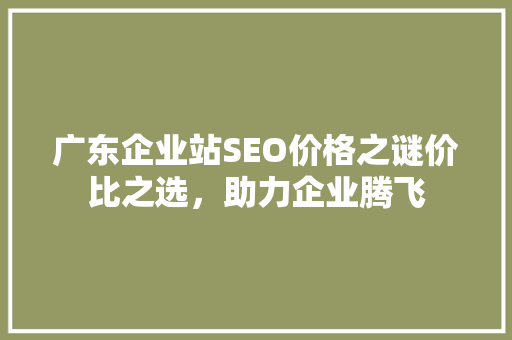 广东企业站SEO价格之谜价比之选，助力企业腾飞