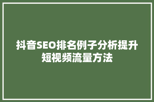 抖音SEO排名例子分析提升短视频流量方法