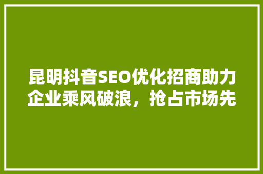 昆明抖音SEO优化招商助力企业乘风破浪，抢占市场先机
