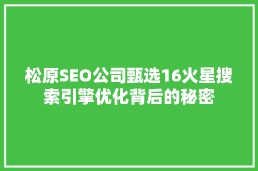 松原SEO公司甄选16火星搜索引擎优化背后的秘密