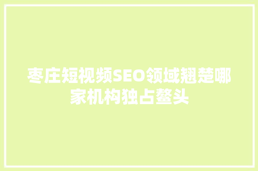 枣庄短视频SEO领域翘楚哪家机构独占鳌头