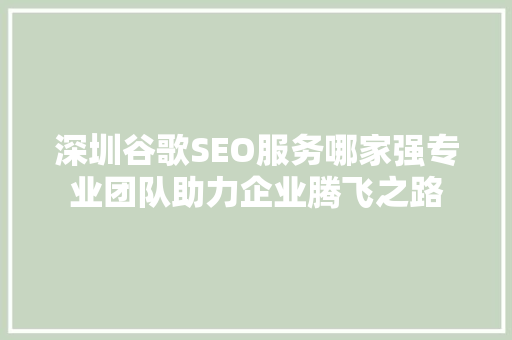 深圳谷歌SEO服务哪家强专业团队助力企业腾飞之路 深圳谷歌SEO服务哪家强专业团队助力企业腾飞之路
