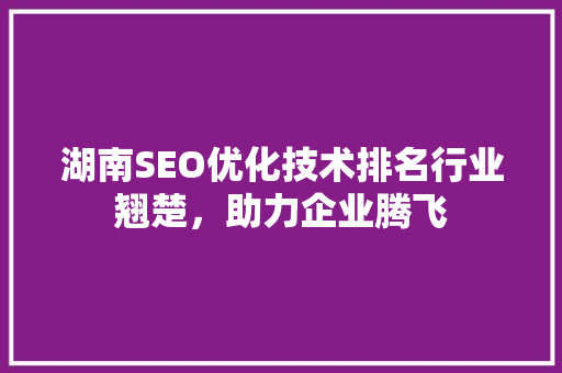 湖南SEO优化技术排名行业翘楚,助力企业腾飞 湖南SEO优化技术排名行业翘楚,助力企业腾飞
