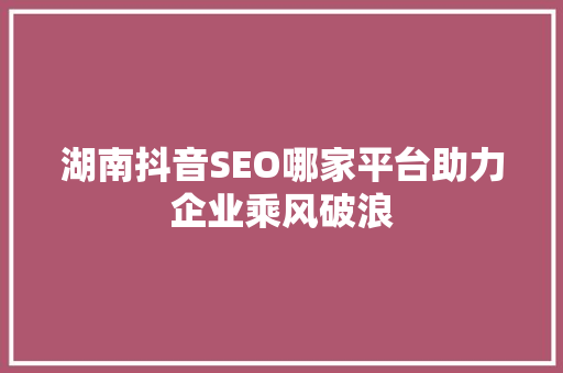 湖南抖音SEO哪家平台助力企业乘风破浪
