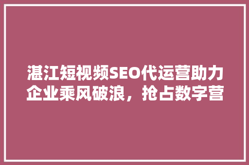 湛江短视频SEO代运营助力企业乘风破浪，抢占数字营销制高点