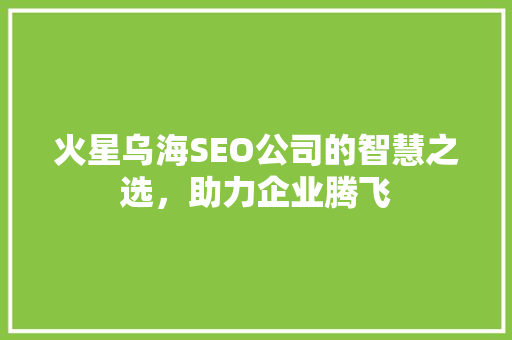 火星乌海SEO公司的智慧之选，助力企业腾飞 操作系统