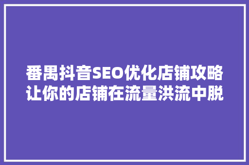 番禺抖音SEO优化店铺攻略让你的店铺在流量洪流中脱颖而出