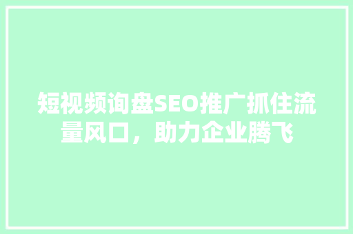 短视频询盘SEO推广抓住流量风口，助力企业腾飞