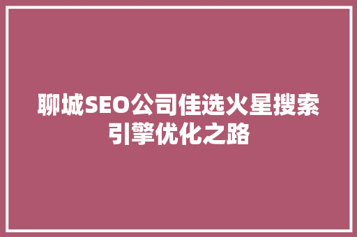 聊城SEO公司佳选火星搜索引擎优化之路