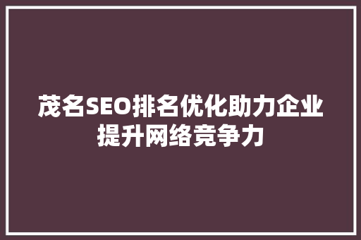 茂名SEO排名优化助力企业提升网络竞争力