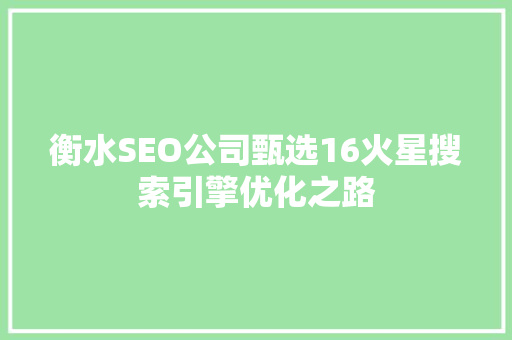 衡水SEO公司甄选16火星搜索引擎优化之路