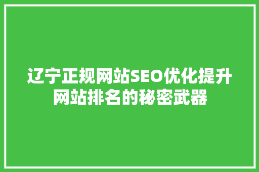 辽宁正规网站SEO优化提升网站排名的秘密武器