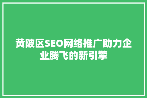 黄陂区SEO网络推广助力企业腾飞的新引擎