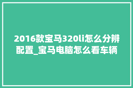 2016款宝马320li怎么分辨配置_宝马电脑怎么看车辆配置参数 2016款宝马320li怎么分辨配置_宝马电脑怎么看车辆配置参数