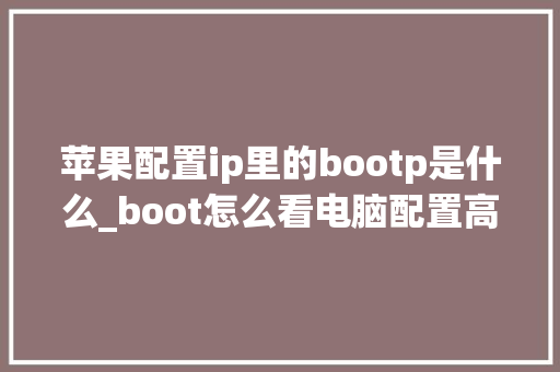 苹果配置ip里的bootp是什么_boot怎么看电脑配置高低