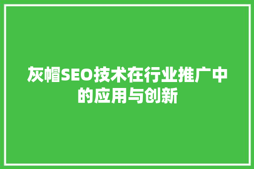 灰帽SEO技术在行业推广中的应用与创新 灰帽SEO技术在行业推广中的应用与创新