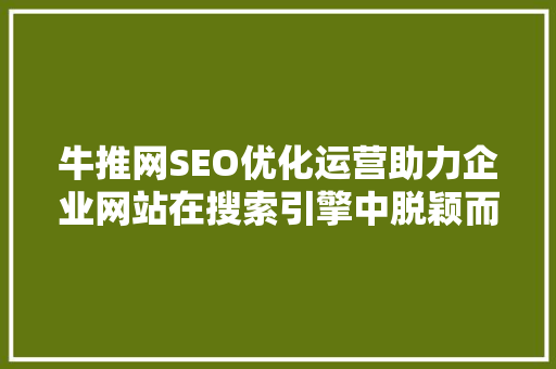 牛推网SEO优化运营助力企业网站在搜索引擎中脱颖而出