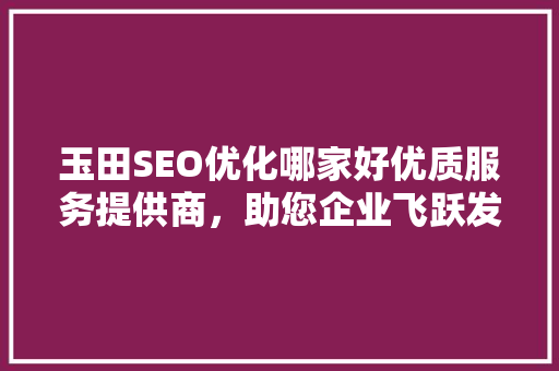 玉田SEO优化哪家好优质服务提供商，助您企业飞跃发展