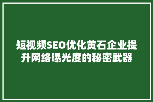 短视频SEO优化黄石企业提升网络曝光度的秘密武器