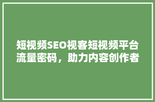 短视频SEO视客短视频平台流量密码，助力内容创作者脱颖而出