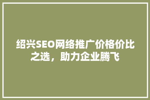 绍兴SEO网络推广价格价比之选，助力企业腾飞