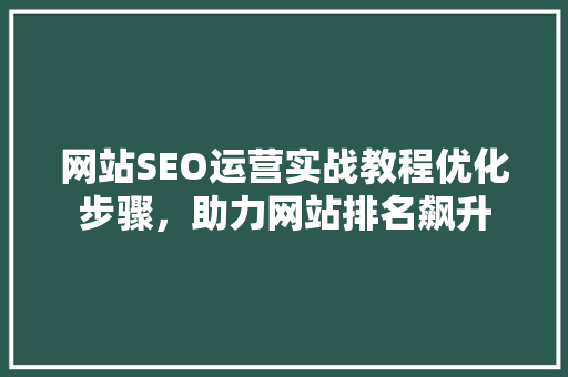 网站SEO运营实战教程优化步骤,助力网站排名飙升 网站SEO运营实战教程优化步骤,助力网站排名飙升