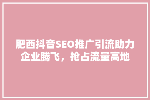 肥西抖音SEO推广引流助力企业腾飞，抢占流量高地