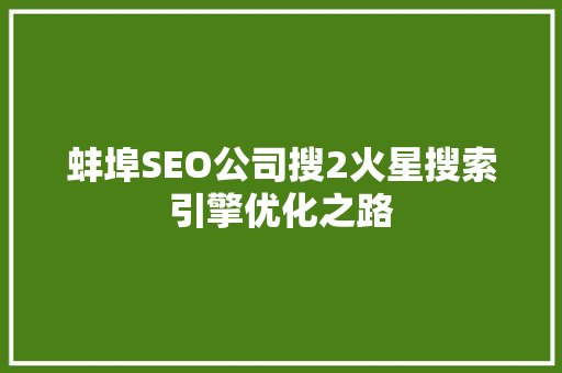 蚌埠SEO公司搜2火星搜索引擎优化之路