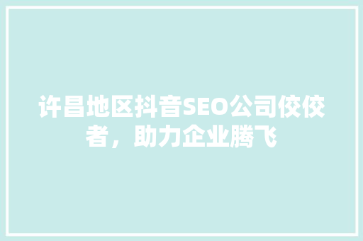 许昌地区抖音SEO公司佼佼者，助力企业腾飞