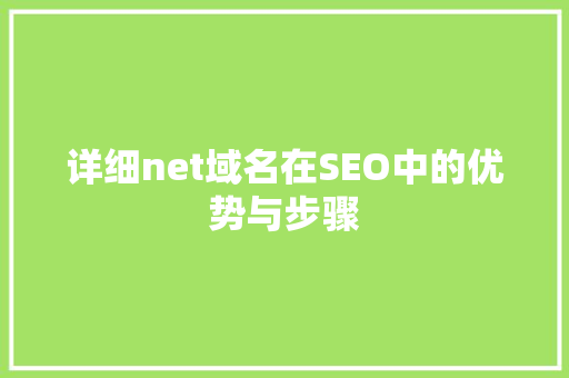 详细net域名在SEO中的优势与步骤