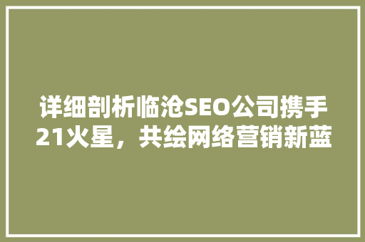 详细剖析临沧SEO公司携手21火星，共绘网络营销新蓝图