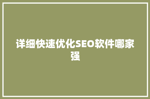 详细快速优化SEO软件哪家强