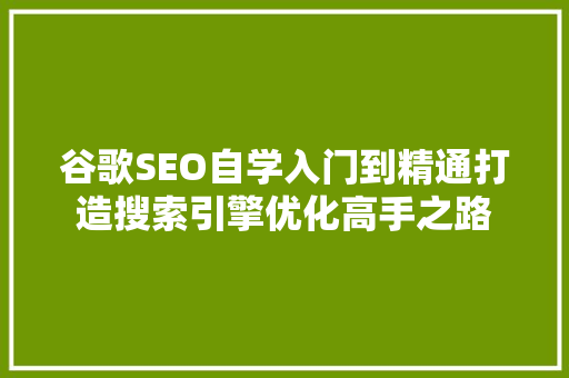 谷歌SEO自学入门到精通打造搜索引擎优化高手之路