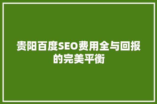 贵阳百度SEO费用全与回报的完美平衡
