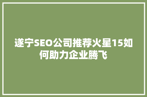 遂宁SEO公司推荐火星15如何助力企业腾飞