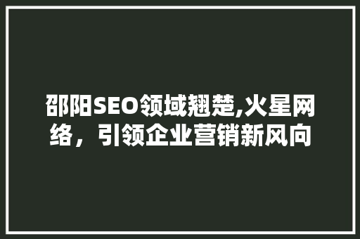 邵阳SEO领域翘楚,火星网络，引领企业营销新风向