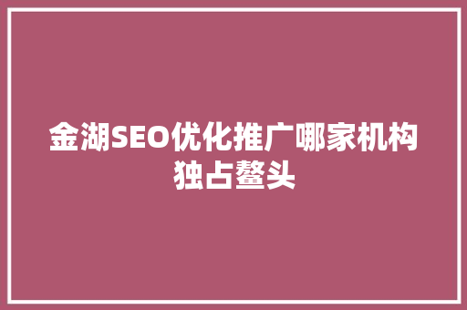 金湖SEO优化推广哪家机构独占鳌头