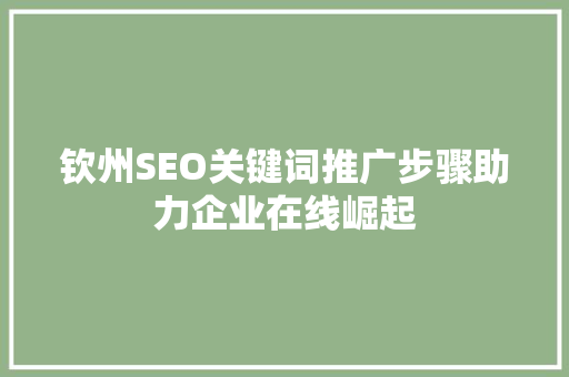 钦州SEO关键词推广步骤助力企业在线崛起 电脑故障维修 钦州SEO关键词推广步骤助力企业在线崛起 电脑故障维修