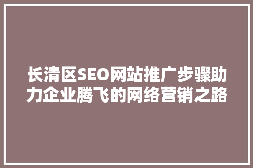 长清区SEO网站推广步骤助力企业腾飞的网络营销之路