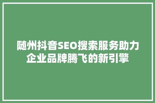 随州抖音SEO搜索服务助力企业品牌腾飞的新引擎
