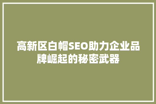 高新区白帽SEO助力企业品牌崛起的秘密武器