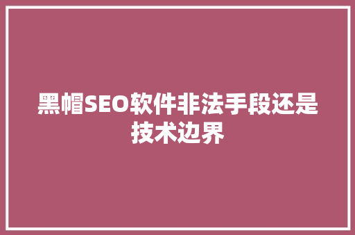 黑帽SEO软件非法手段还是技术边界