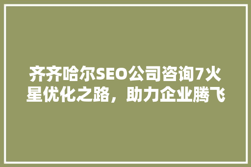 齐齐哈尔SEO公司咨询7火星优化之路，助力企业腾飞
