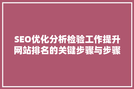 SEO优化分析检验工作提升网站排名的关键步骤与步骤