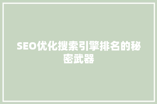 SEO优化搜索引擎排名的秘密武器