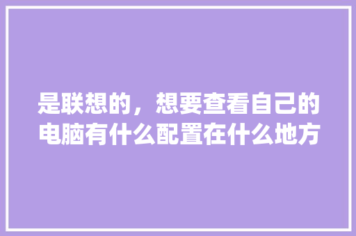 是联想的，想要查看自己的电脑有什么配置在什么地方看呀_自己电脑配置怎么看详细参数